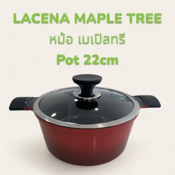 หม้อ เมเปิลทรี  แม่เหล็กไฟฟ้า /MAPLE TREE  Pot 22cm