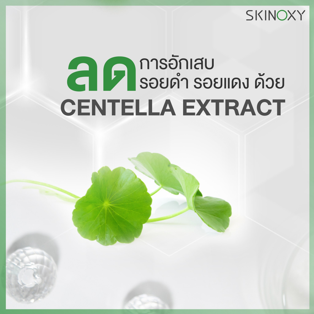 [Skinoxy] Cica Acne Defense Moisturizing Cream 50g