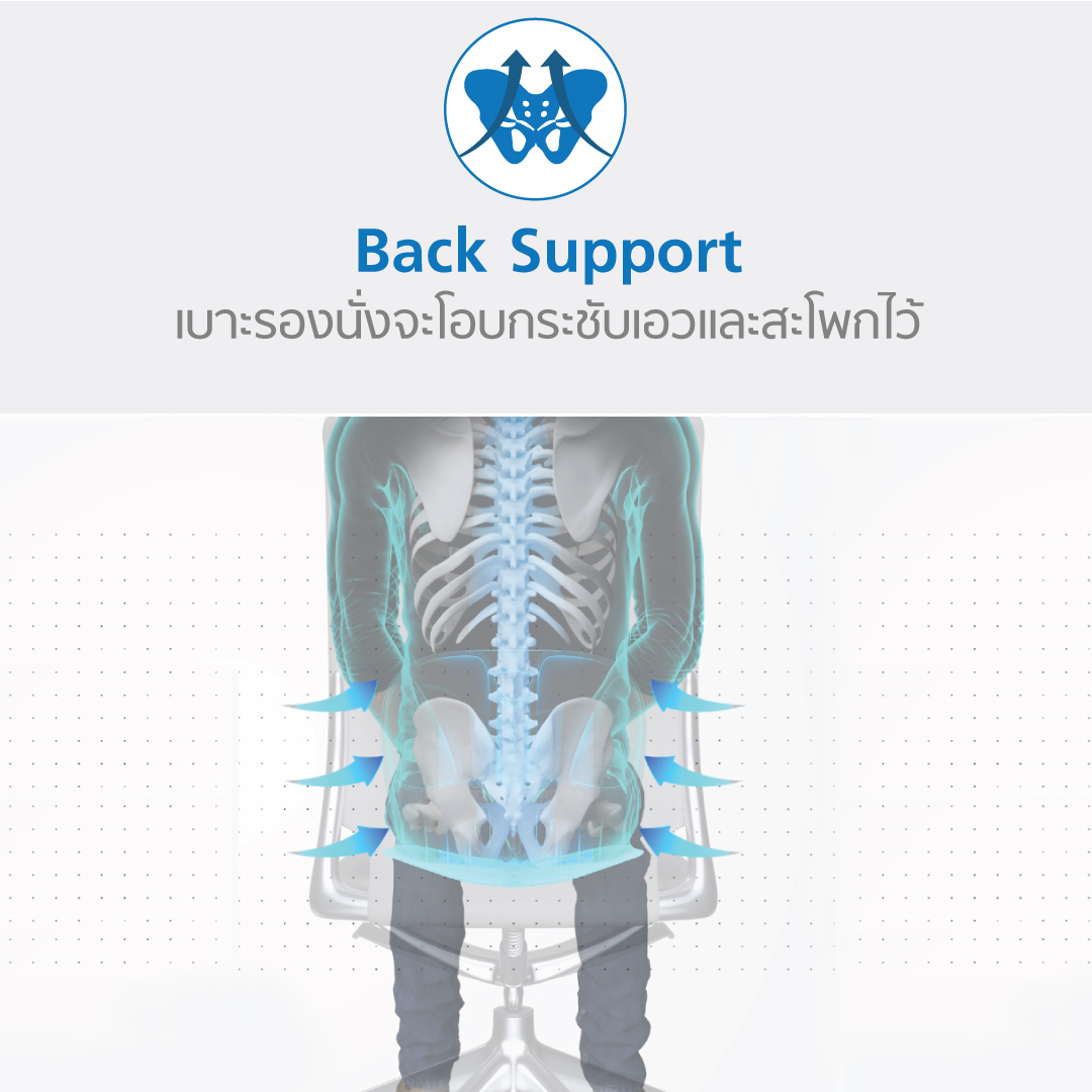 Curble Wider เบาะรองนั่งเพื่อสุขภาพ ปรับท่านั่ง เก้าอี้เสริมเพื่อสุขภาพ สำหรับผู้ใหญ่ เพื่อบุคลิกท่าทางที่ดี