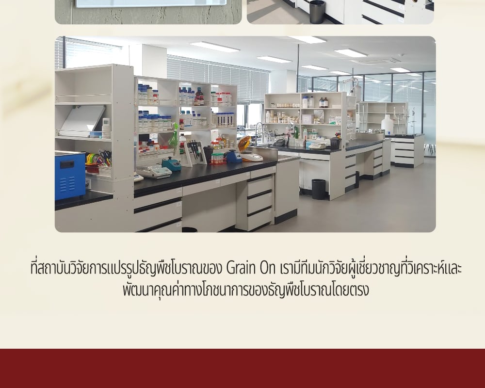 [GRAINON] L'ecceellente Farro Enzyme
