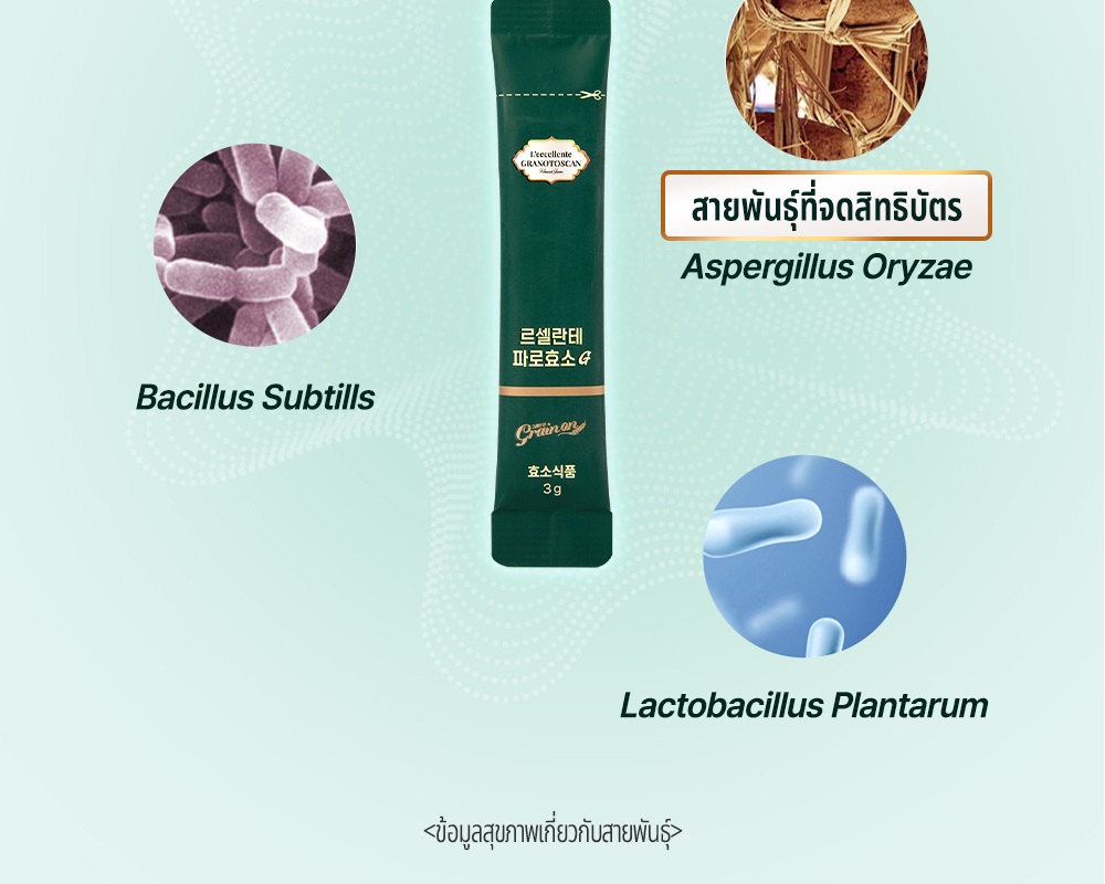 [GRAINON] L'eccellente Farro Enzyme G