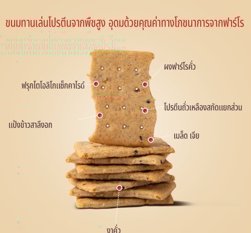 [GRAINON] Farro Low Sugar Protein Chip